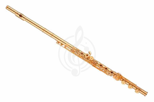 Изображение Aidis PA-18G18K - Флейта