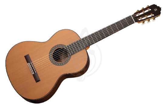 Изображение Alhambra 847 Classical Conservatory Senorita 5P - Классическая гитара 7/8