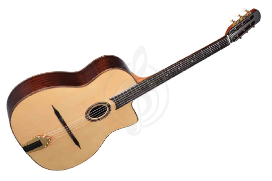 Изображение ALTAMIRA M30 - Гитара