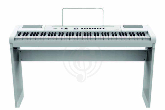 Изображение Artesia A-61 White - Цифровое пианино