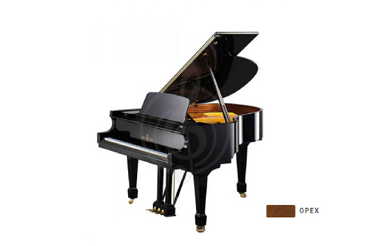 Изображение Bechstein B 160 WAP - Рояль акустический орех, полированный