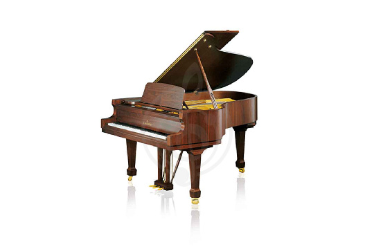 Изображение Bechstein B 190 WAP - Рояль акустический орех, полированный