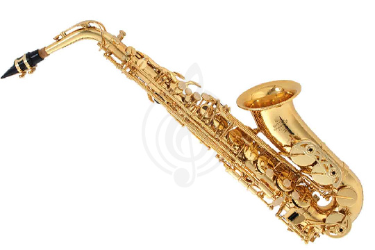Изображение Buffet Crampon BC8101-1-0 100 Series - Саксофон-альт Eb