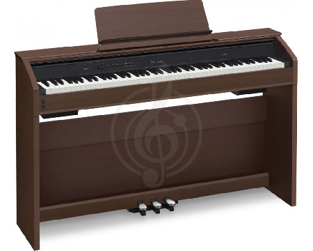 Изображение Casio Privia PX-850BN, цифровое пианино