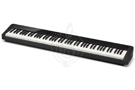 Изображение Casio Privia PX-S1000BK - Цифровое пианино