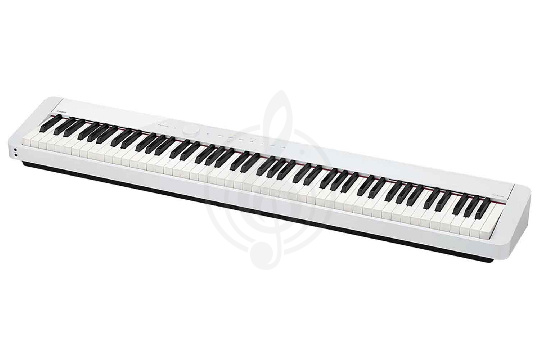 Изображение Casio Privia PX-S1000WE - Цифровое пианино