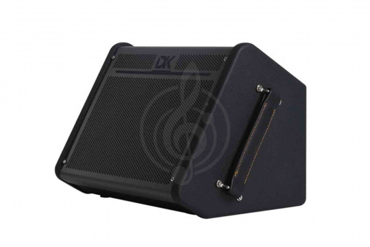 Изображение DK iC-100 - Комбоусилитель для акустической гитары