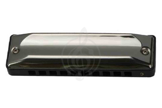 Изображение EASTTOP T002 G - Диатоническая губная гармошка