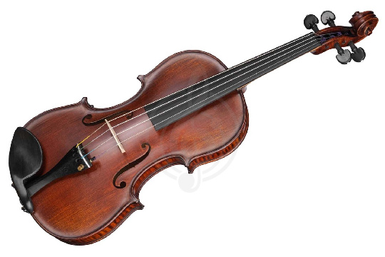 Изображение Gliga P-V044-S Professional Gama Special Antique - Скрипка 4/4
