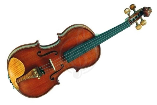 Изображение Gliga SG-V012 Student Genial I Gloria - Скрипка 1/2