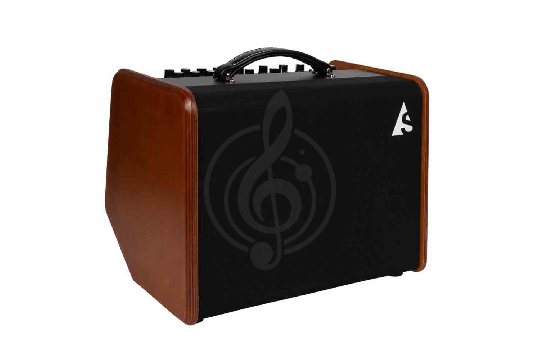 Изображение Godin 050154 Acoustic Solutions ASG-8 Wood - Комбоусилитель для акустической гитары, 120Вт
