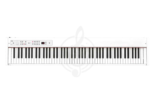 Изображение KORG D1 WH - Цифровое пианино