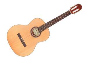 Изображение Kremona Camelia Soloist Series - Классическая гитара