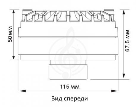   - фото