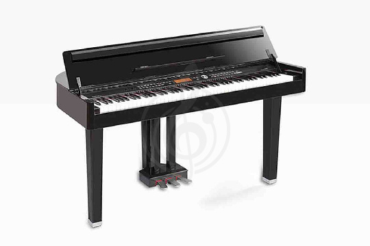 Изображение Medeli Grand300 - Цифровой рояль