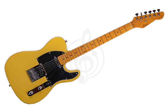 Изображение Omni TE-2S NT - Электрогитара
