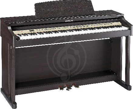 Изображение Orla CDP31 Rosewood Цифровое пианино