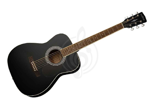Изображение Parkwood PF51-BKS, акустическая гитара