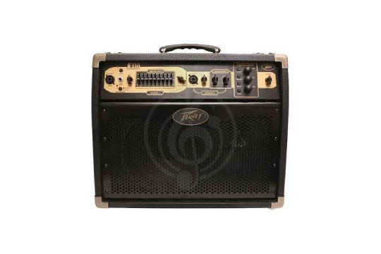 Изображение Peavey Ecoustic E110 1x10' - Комбоусилитель для акустической гитары, 2 канала