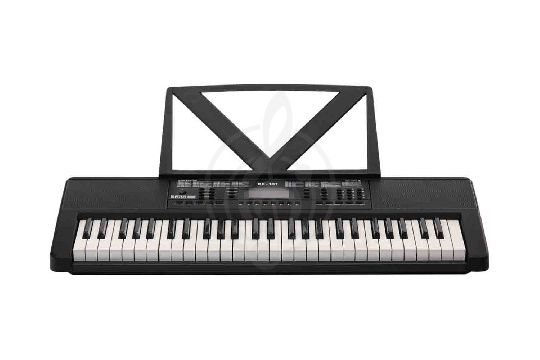 Изображение Rin RK-101 - Синтезатор