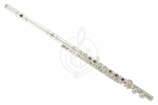 Изображение ROY BENSON FL-402R флейта (Откр клапана в линию)