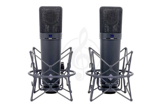 Изображение Sennheiser 008506 Neumann U 87 AI-MT-stereo - Микрофон конденсаторный студийный, стереопара, черный