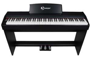 Изображение Solista DP400BK - Цифровое пианино