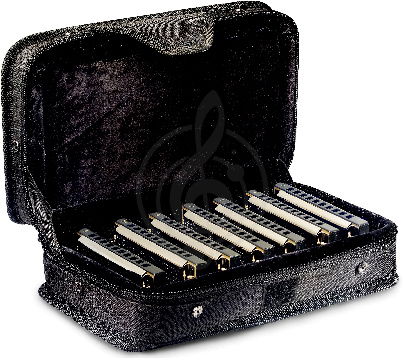 Изображение STAGG BJH-B20 SET1- набор настоящего блюзмена