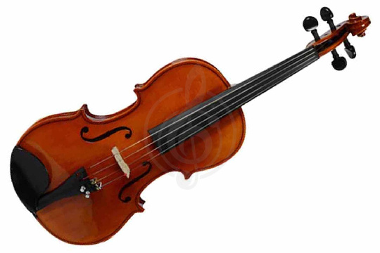 Изображение Strunal 1750-1/2 - Скрипка 1/2