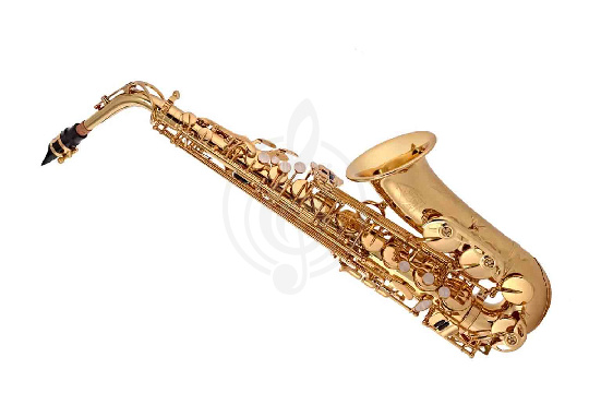 Изображение Trevor James The Horn 3730G - Саксофон альт