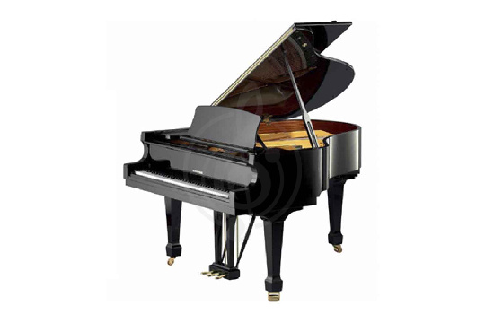 Изображение W. Hoffmann Tradition T 161 BLP - Рояль акустический черный, полированный