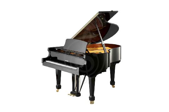 Изображение W. Hoffmann Tradition T 177 BLP - Рояль акустический черный, полированный