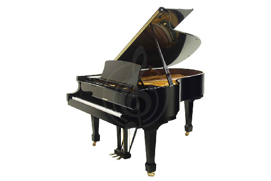 Изображение W. Hoffmann Tradition T 186 BLP - Рояль акстический черный, полированный