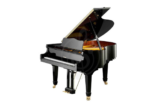 Изображение W. Hoffmann Vision V 158 BLP - Рояль акустический черный, полированный