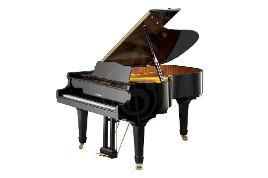 Изображение W. Hoffmann Vision V 183 BLP - Рояль акустичексий черный, полированный