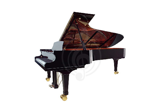 Изображение Wendl&Lung VG278BK - Рояль акустический, черный