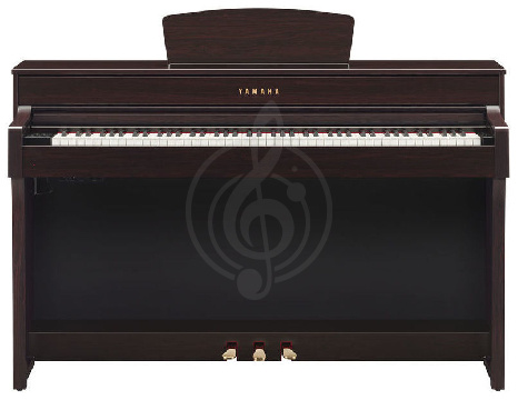 Изображение YAMAHA CLP-635R - Цифровое пианино 