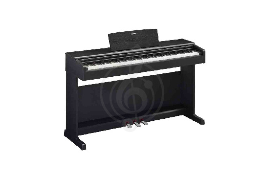 Изображение Yamaha YDP-145B Arius - Цифровое пианино