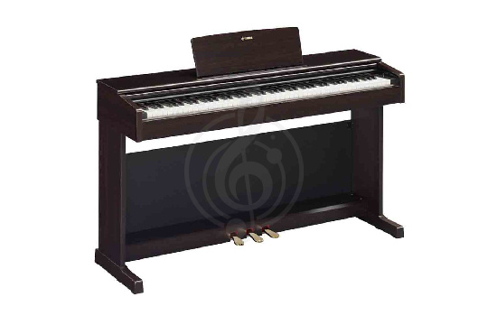 Изображение Yamaha YDP-145R Arius - Цифровое пианино