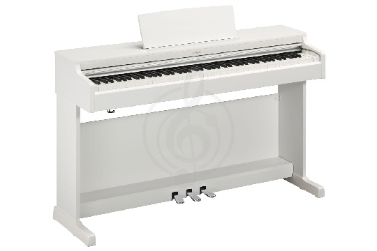 Изображение Yamaha YDP-164WH - Цифровое пианино